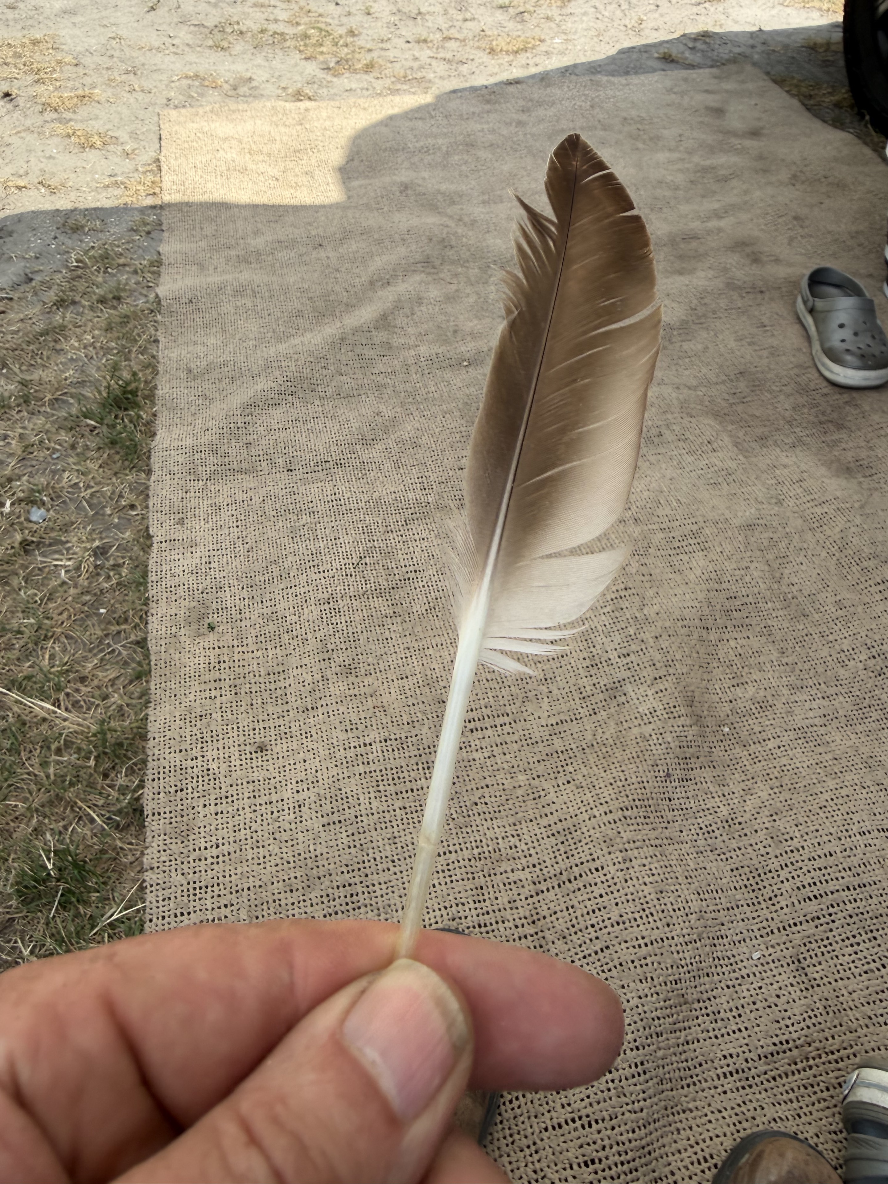 Arie holding the brown feather found beside H11